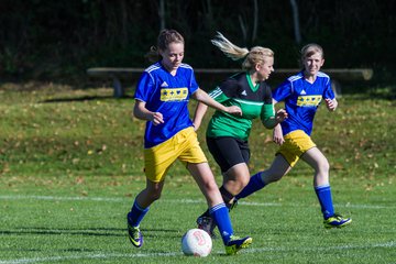 Bild 47 - Frauen TSV Gnutz - TuS Heidmhlen : Ergebnis: 2:2